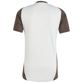 Herren Juventus 2024/25 Dritte Authentische EU Trainingsshirt