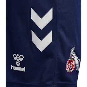 Herren 1. FC Köln 2024/25 Dritte Shorts