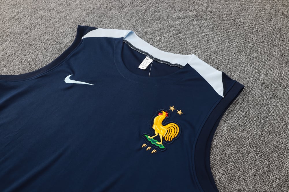 France Vest Track Suit 2024/25 MEN544