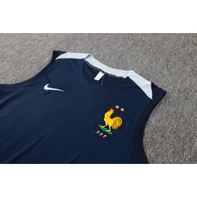 France Vest Track Suit 2024/25 MEN544