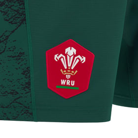 Kid's Wales Rugby 2026/27 Away Shorts