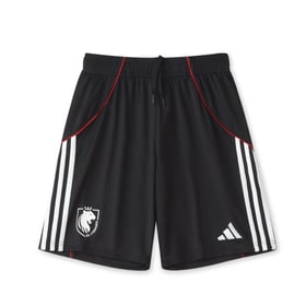Kid's OL 2025/26 Third Europe Shorts