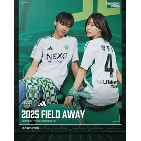 Herren Jeonbuk Hyundai Motors 2025 Auswärtstrikot