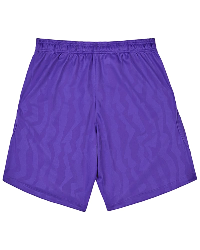 Herren Tottenham Hotspur 2026/27 Dritte Shorts