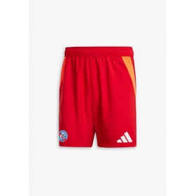 Herren Straßburg 2024/25 Drittes Authentisch Training Shorts – Rot