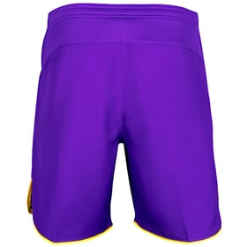 Herren Toulouse FC 2024/25 Auswärts Shorts