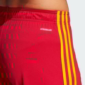 Herren Roma 2023/24 Heim Shorts