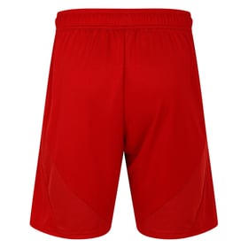 Men's Fulham 2024/25 Away Shorts