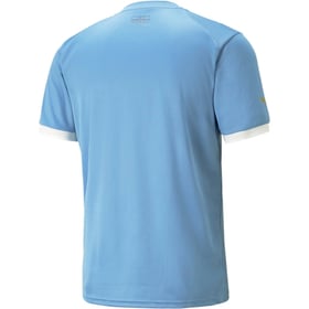 Uruguay Heimtrikot Weltmeisterschaft 2022