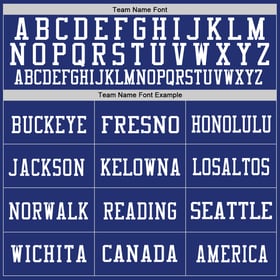 Jersey Royal White Custom Mesh Authentic Football