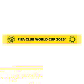 BVB Borussia Dortmund CWC Fotos Schal