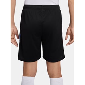 Herren FC Barcelona 2024/25 Drittenshorts Authentisch Training