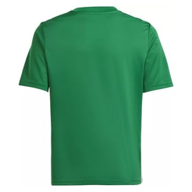 Kid's Radomiak Radom 2024/25 Third Authentic Training Shirt