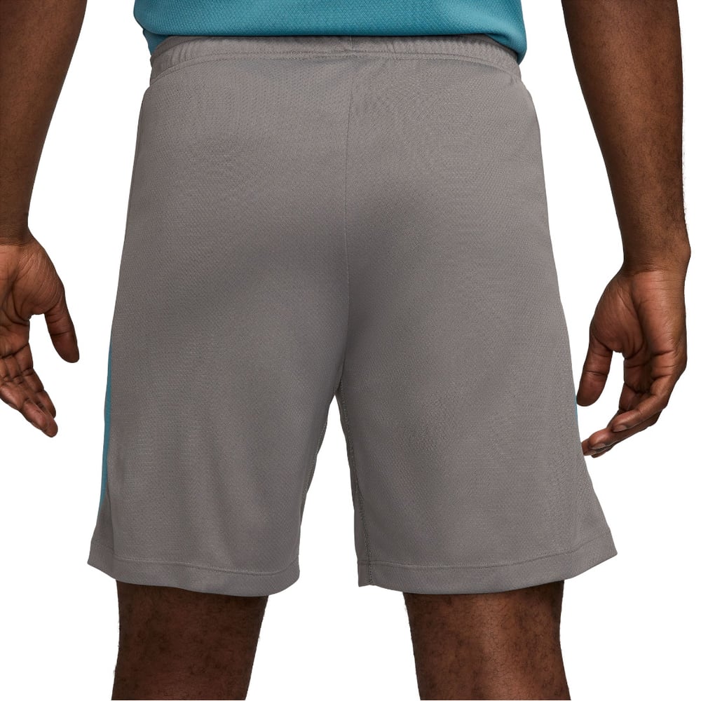 Herren Atletico Madrid 2024/25 Drittenshorts Authentisch Training