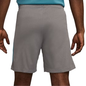 Herren Atletico Madrid 2024/25 Drittenshorts Authentisch Training