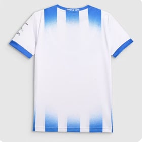 Herren Stal Mielec 2025/26 Heimtrikot Ohne Sponsor