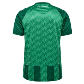 Herren Werder Bremen 1846 2024/25 Heimtrikot