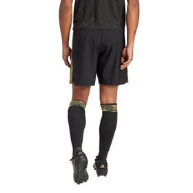 Herren Mexiko 2025 Drittes Shorts
