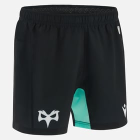Men's Ospreys 2023/24 Home Authentic Shorts