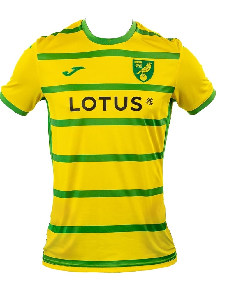 Herren Norwich City 2023/24 Heimtrikot