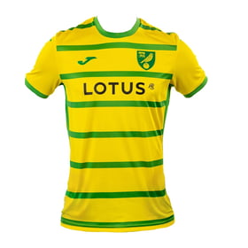Herren Norwich City 2023/24 Heimtrikot