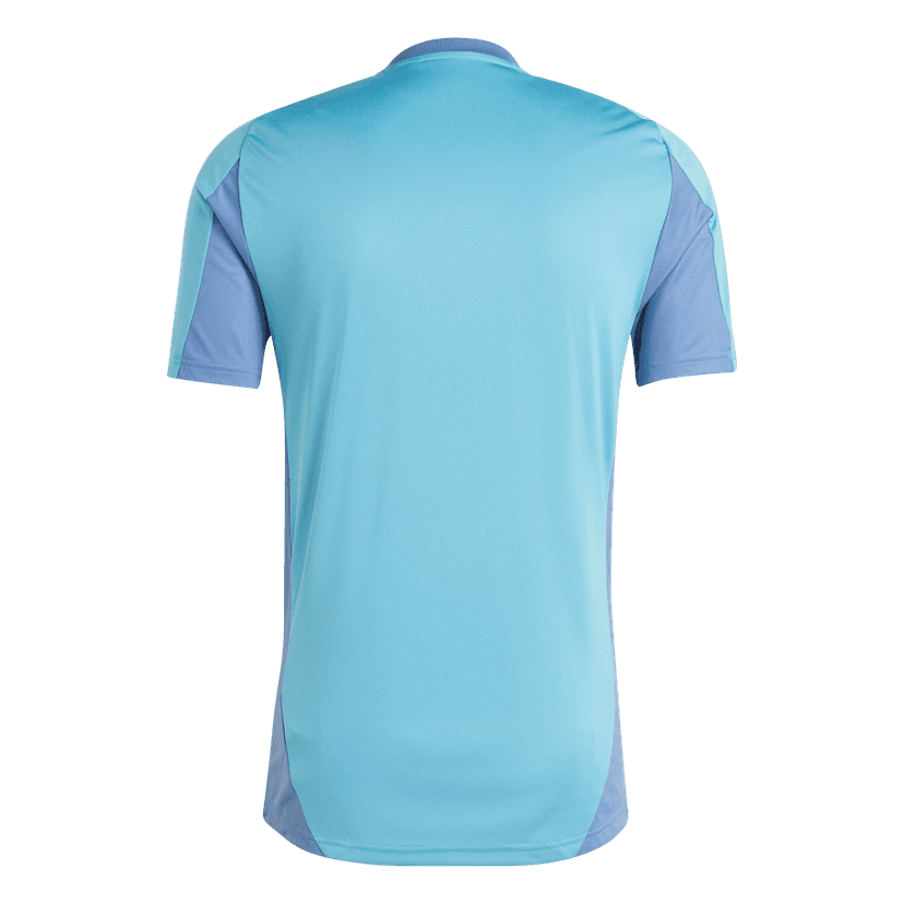 Herren Ajax 2024/25 Dritt Authentisches Trainingsshirt - Blau