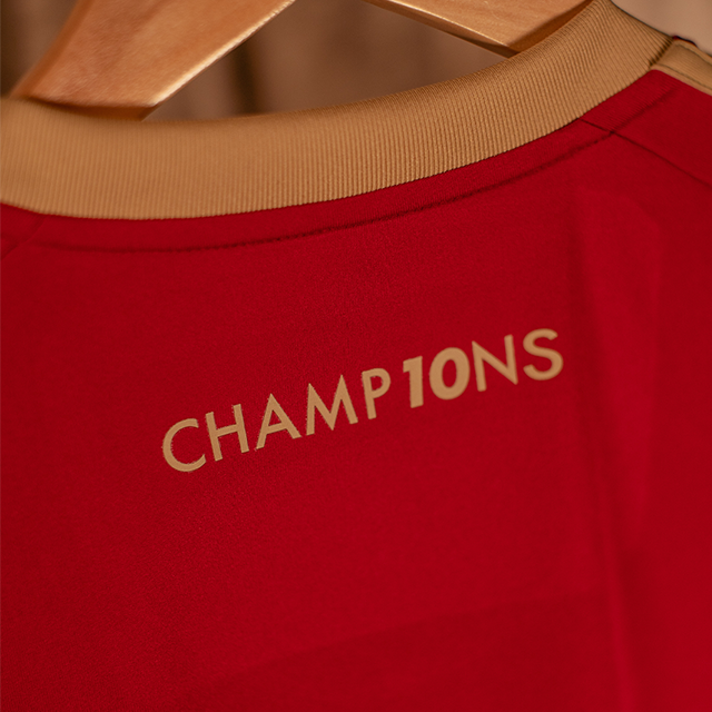 Damen Western Sydney Wanderers 2024/25 10-Jahres Jubiläumstrikot