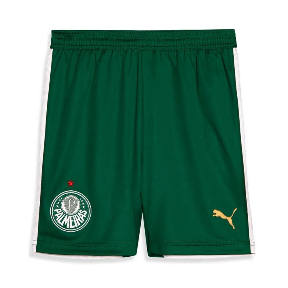 SE Palmeiras Auswärtsshorts 2024/25
