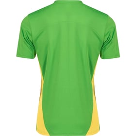 Men's PSV 2024/25 Third Authentic Training Shirt - Green