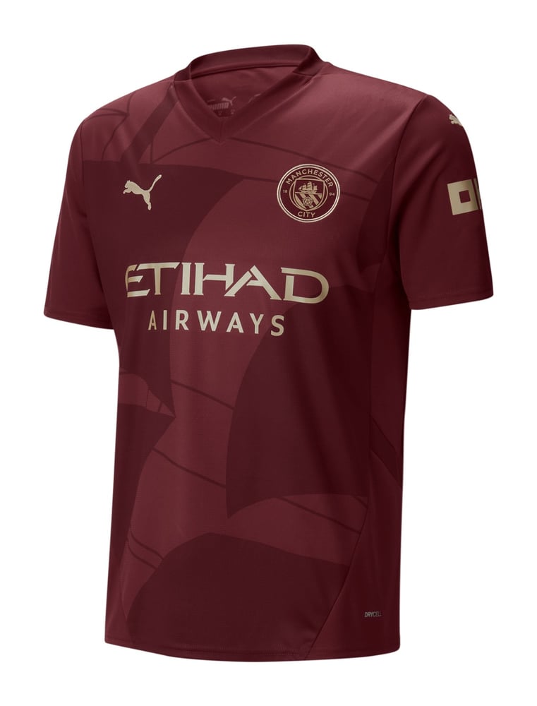 Herren Manchester City 2024/25 Drittes Trikot