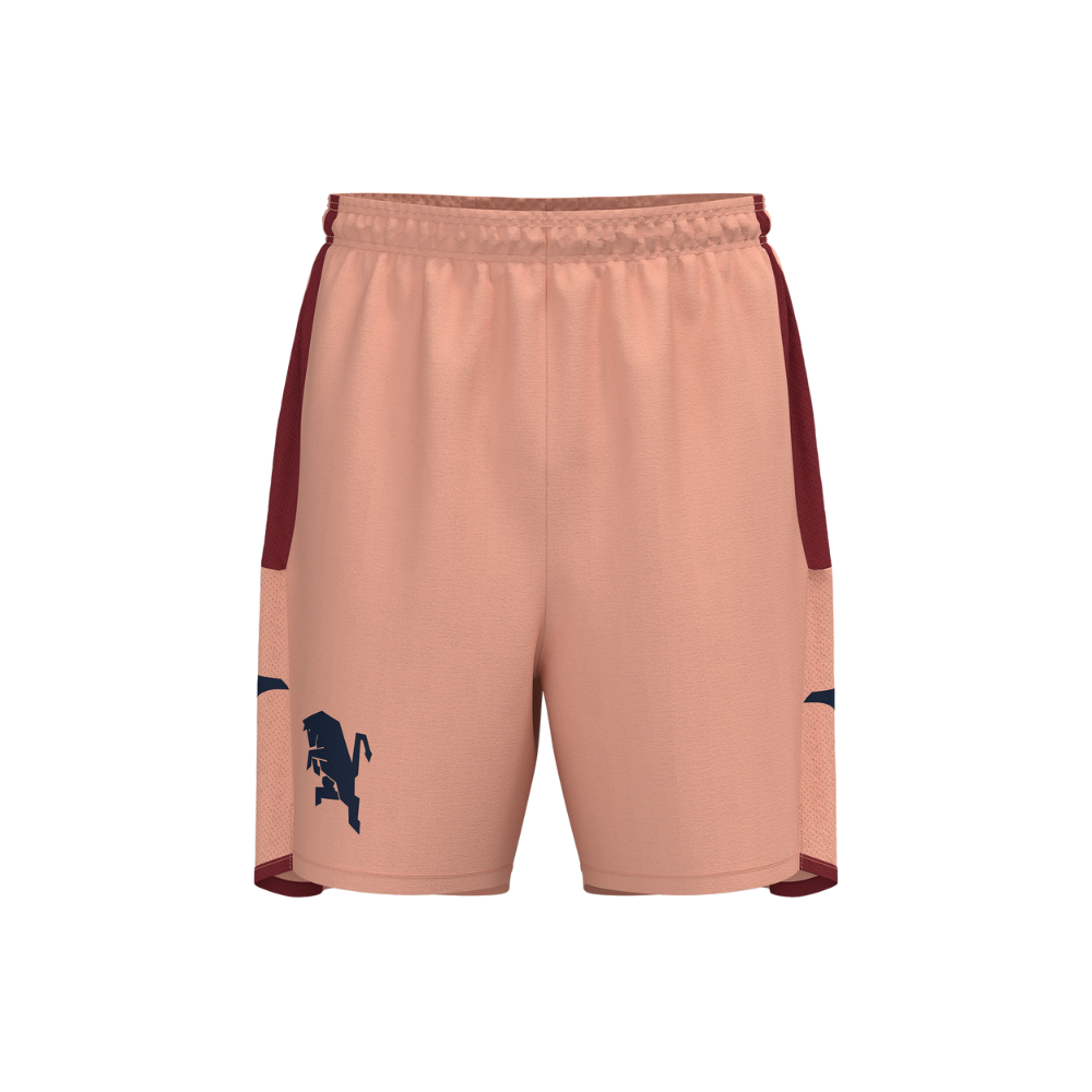 Herren Torino 2024/25 Dritte Shorts