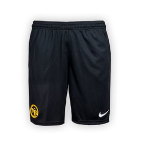 Women's BSC Young Boys 2023/24 Third Authentic Training Shorts