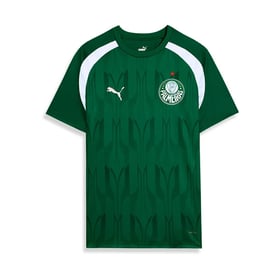 Women's Palmeiras 2024 Third Prematch Shirt