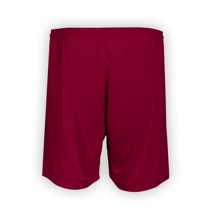 Herren BSC Young Boys 2025/26 Dritte Shorts