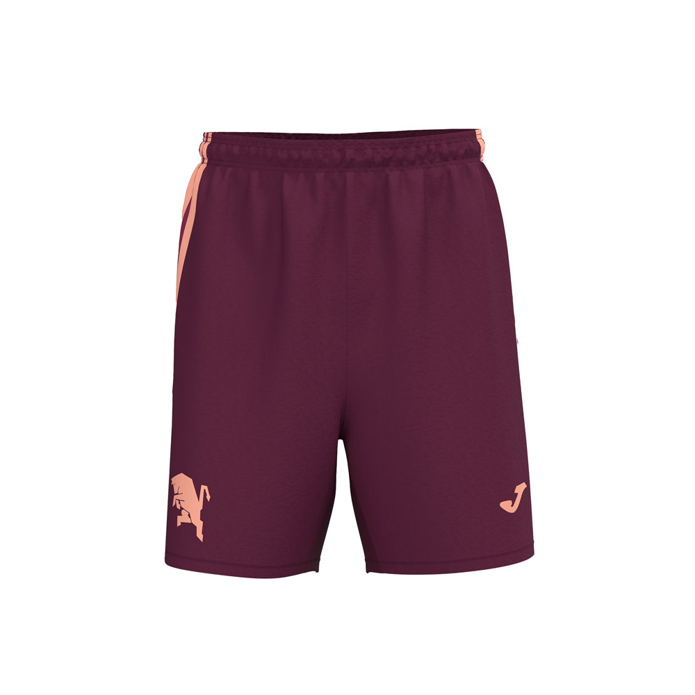 Herren Torino 2024/25 Dritte Authentisches Trainingsshorts