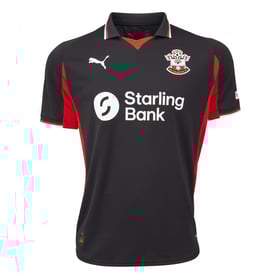 Herren Southampton 2025/26 Drittetrikot Starling