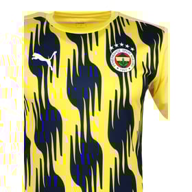 Herren Fenerbahce 2024/25 Dritt Prematch Trikot - Gelb