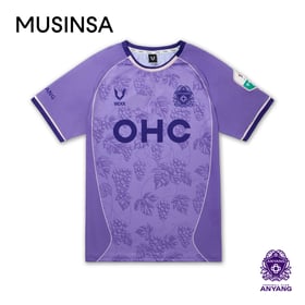 Herren FC Anyang 2025 Sondertrikot