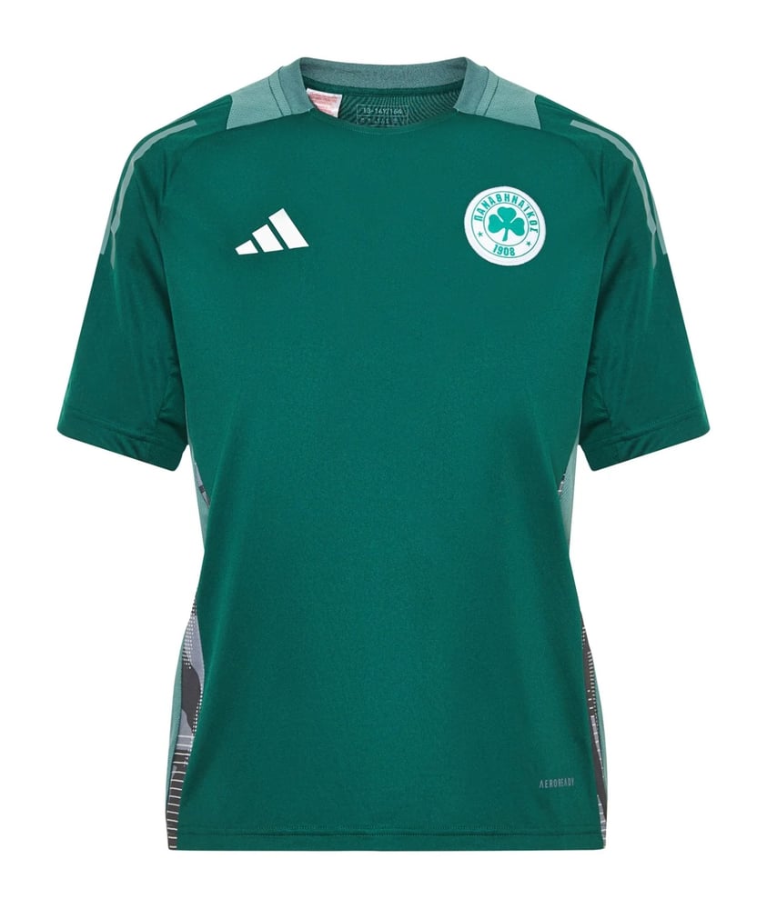 Men's Panathinaikos FC 2024/25 Third Authentic Training Shirt - Green