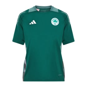 Men's Panathinaikos FC 2024/25 Third Authentic Training Shirt - Green