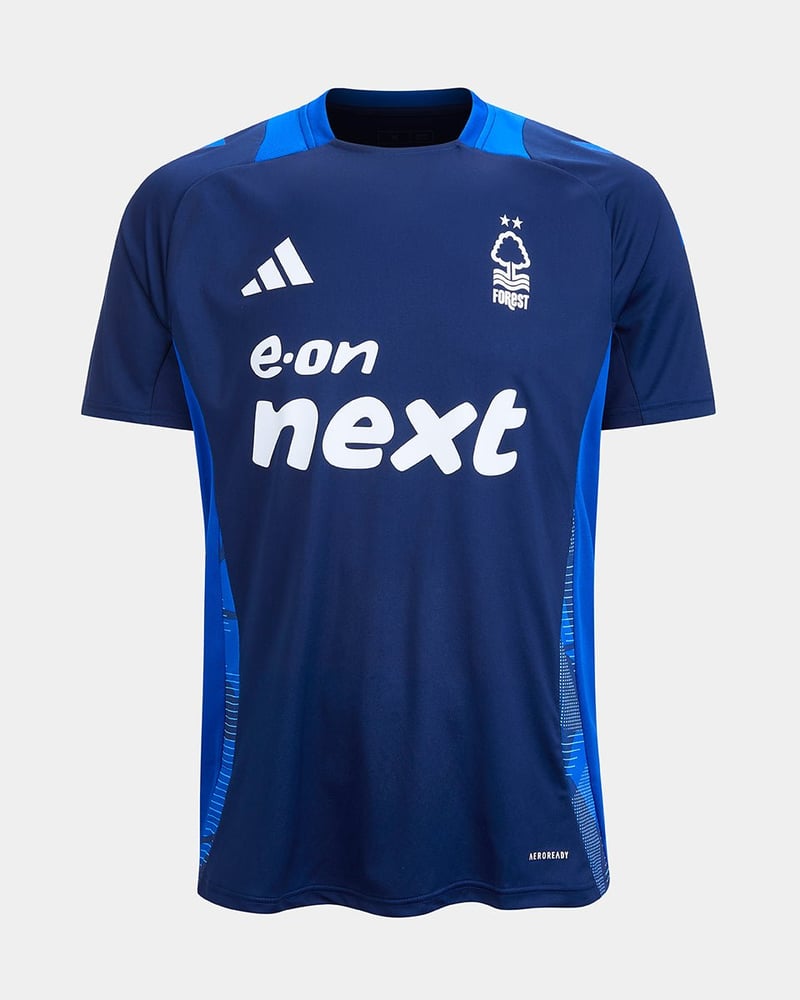 Men's Nottingham Forest 2024/25 Third Authentic Training Shirt - Blue