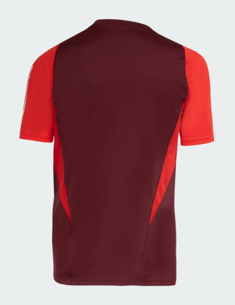 Herren Internacional 2024 Dritt Authentisches Trainingsshirt - Kastanienbraun