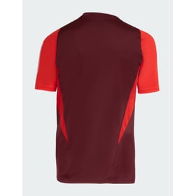 Herren Internacional 2024 Dritt Authentisches Trainingsshirt - Kastanienbraun
