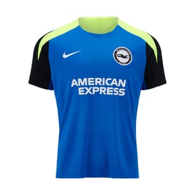 Herren Brighton & Hove Albion 2024/25 Dritttrikot Training Authentic