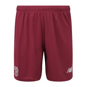 Herren Cardiff City 2023/24 Auswärtsshorts