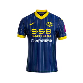 Men's Hellas Verona 2024/25 Home Shirt