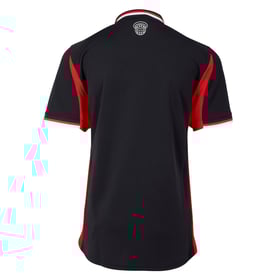 Herren Southampton 2025/26 Drittetrikot Starling