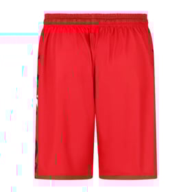 Herren Club Brugge 2023/24 Drittenshorts