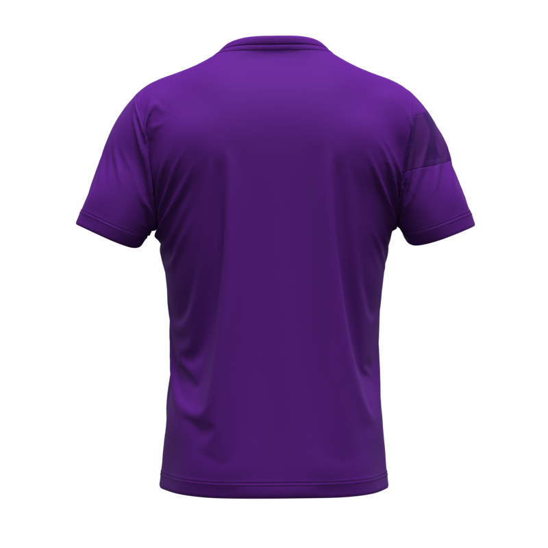 Herren Beerschot 2024/25 Dritt Authentic Trainingstrikot - Lila