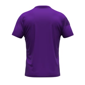 Herren Beerschot 2024/25 Dritt Authentic Trainingstrikot - Lila
